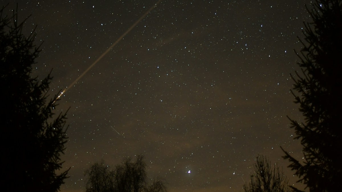 A night sky with stars and trees in the foreground